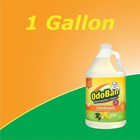 img 3 attached to 🍊 OdoBan Concentrate Disinfectant Laundry and Air Freshener Citrus Scent, 1 Gal.: A Powerful All-in-One Cleaning Solution