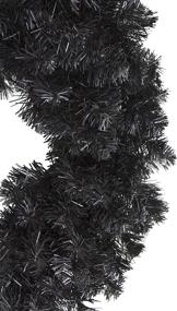 img 1 attached to 🎄 Northlight 24-inch Black Colorado Spruce Artificial Christmas Wreaths - Unlit Decoration
