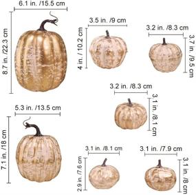 img 3 attached to 🎃 Набор поддельных тыкв осеннего урожая из пеноматериала - 7 различных размеров в золотисто-белом оттенке для праздничного декора осеннего стола, Хэллоуина и Дня Благодарения.