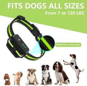 img 2 attached to AHJDL Rechargeable Reflective Dog Bark Collar - 5 Adjustable Sensitivity and Intensity Levels - 🐶 Dual Anti-Barking Modes - Rainproof - No Barking Control Shock Collar for Small Medium Large Dogs