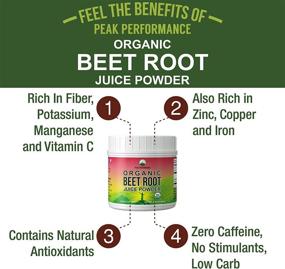 img 2 attached to Premium Organic Beetroot Powder - Superior Superfood Beet Juice Powder. 100% Pure Organic Supplement Enhancing Nitric Oxide Production. Keto, Paleo, Vegan-friendly Reds Superfood with Abundant Polyphenols