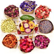 🌸 laveve 100% natural dried flowers and herbs kit - perfect for resin, soap making, candle making, bath bombs | includes rose petals, rosebuds, lavender, jasmine, lily, and more logo