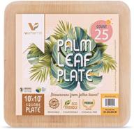 🍃 verterra 10-inch extra large square disposable plate - 25-pack, heavy duty, eco-friendly, biodegradable, sustainable dinnerware for weddings, events, parties - 100% compostable palm leaf logo