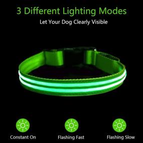 img 3 attached to Enhance Safety with TRIPOLACO LED Dog Collar: High Visibility & USB Rechargeable Glowing Collar for Small Medium Large Dogs