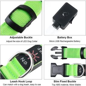 img 2 attached to Enhance Safety with TRIPOLACO LED Dog Collar: High Visibility & USB Rechargeable Glowing Collar for Small Medium Large Dogs