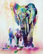 boshun painting beginner colorful elephant logo