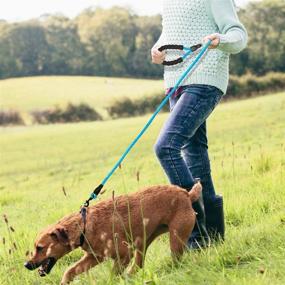 img 3 attached to 🐾 Amebo Reflective Dog Leash - 5 FT Training Leash Nylon - Mountain Climbing Rope for Strong Small Medium Large Dogs