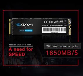 img 2 attached to 💾 DATARAM 256 Гб Внутренний SSD, PCIe NVMe M.2 2280 Твердотельный накопитель, PCIe Gen3 8Гб/с