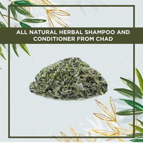 img 1 attached to 🌿 Unleash the Power of Ambunu: All-Natural Herbal Shampoo and Conditioner by Roselle Naturals from Chad, Africa (150g)