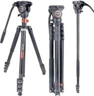 cayer fp2450 fluid head tripod, 75-inch aluminum tripod, 4-section compact camera tripod/monopod combo for dslr camera, load capacity up to 13.2 lbs logo