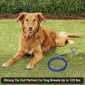 img 3 attached to 🐾 Stainless Steel Stake for Dog Tie Out - Rust-Free, 30FT Cable Included, Spiral Ground Anchor for Small Medium Large Dog, Dog Runner, Up to 100 LBS Dog - Ideal for Camping, Beach, Lawn