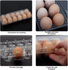 img 2 attached to 🥚 Clear Plastic Egg Carton 30Pack - Katfort Reusable Holder for 12 Standard-Sized Eggs: Secure Storage Tray for Refrigerator, Groceries, and Farmers Family