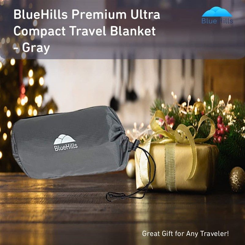 bluehills compact portable backpack airplane 로고