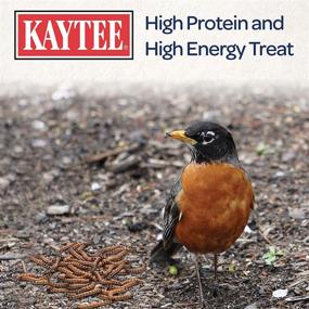 img 1 attached to High-Quality Kaytee Mealworms in a Convenient 7-Ounce Pouch