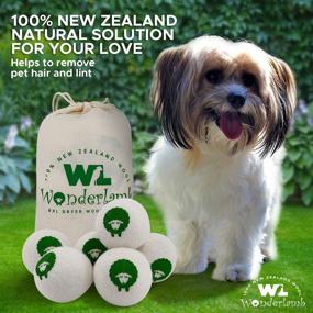img 1 attached to 🐑 Wonderlamb Wool Dryer Balls: XL 6 Packs - Reusable, Natural Fabric Softener | Reduce Wrinkles, Eliminate Static, & Dry Faster! Superior to Dryer Sheets