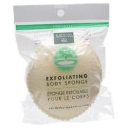 🧽 earth therapeutics body sponge: exfoliating oval 3 pack for smooth and glowing skin logo