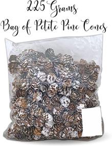 img 3 attached to 🌲 BANBERRY DESIGNS White Washed Pine Cones - Bulk Lot of 375 Pieces (1/2 lb. Bag) Assorted Sizes - Fall and Christmas Bowl Filler Decoration Crafting Supplies