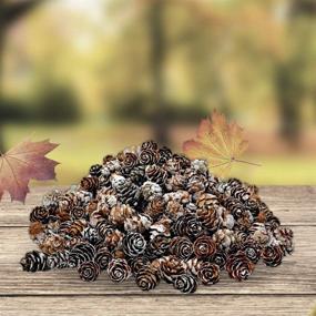 img 1 attached to 🌲 BANBERRY DESIGNS White Washed Pine Cones - Bulk Lot of 375 Pieces (1/2 lb. Bag) Assorted Sizes - Fall and Christmas Bowl Filler Decoration Crafting Supplies