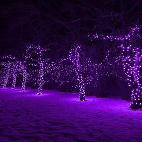 img 2 attached to 🎄 BHCLIGHT Purple 95FT 240 LED Christmas String Lights with 8 Lighting Modes - Plug-in Fairy String Lights for Indoor Outdoor Garden Party Decoration (Purple)