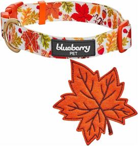 img 1 attached to Blueberry Pet Thanksgiving Adjustable Detachable