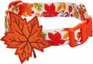 blueberry pet thanksgiving adjustable detachable logo