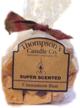 thompsons candle co scented cinnamon logo