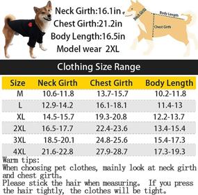 img 3 attached to 🐶 Premium Winter Pet Apparel: PXDCC Dog Puppy Coats for Cold Weather, Warm Sweater for Boy & Girl Dogs