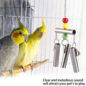 img 2 attached to 🐦 HEEPDD Stainless Steel Bell Parrot Toy: High-Quality Swing Stand Decoration for Small Birds Like Parakeets, Cockatiels, Conures, Macaws, and Love Birds