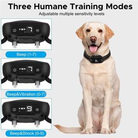 img 2 attached to 🐶 BATVOX Dog Bark Collar: Upgraded Intelligent with 3 Modes, 7 Adjustable Sensitivity Levels – Rechargeable & Waterproof for Small, Medium, Large Dogs