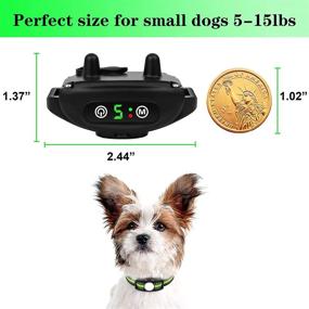 img 3 attached to 🐶 Rechargeable Bark Collar - Adjustable Sensitivity & Intensity, Shockless & Harmless, Beep & Vibration, No Pain, Ideal for Small, Medium & Large Dogs