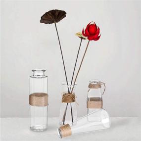 img 1 attached to 🌺Прозрачные стеклянные вазы для бутонов цветов Jelofly - Набор из 6 штук, разнообразные уникальные формы с креативным дизайном веревки.