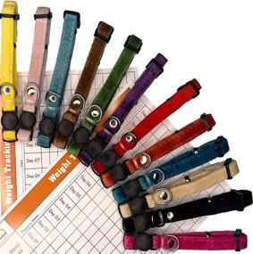 img 4 attached to GAMUDA Super Soft Velvet Puppy Collars - Adjustable Breakaway Whelping Puppy ID 🐶 Collars - Assorted Colors with Plain & Identification Collars, including 2 Record Keeping Charts