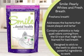 img 1 attached to 😺 In Clover Smile Soft Chews for Cats: Dental Health Support with Catnip, Green Tea, Prebiotics, and Chlorophyll – Promote Healthy Teeth, Fresh Tongue, and Breath