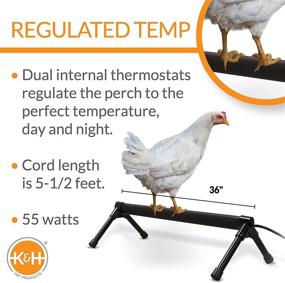 img 3 attached to PET PRODUCTS Thermo Chicken Perch Large