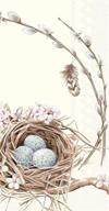 boston international 32-count 3-ply paper guest towel buffet napkins with birds nest and eggs logo