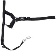 coastal - walk 'n train! - dog head halter, black, 🐶 xlg (4): train your dog effectively while walking by using this head halter logo