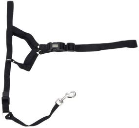 img 1 attached to Coastal - Walk 'n Train! - Dog Head Halter, Black, 🐶 XLG (4): Train Your Dog Effectively while Walking by Using this Head Halter