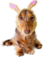 🐰 zoo snoods jack rabbit dog costume - ear wrap hoodless design for optimal pet comfort and seo логотип