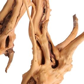 img 3 attached to 🐠 Natural Fish Tank Decoration: Kathson Aquarium Driftwood Assorted Branches Ornament for Fish, Shrimp, and Aquatic Playful Animals