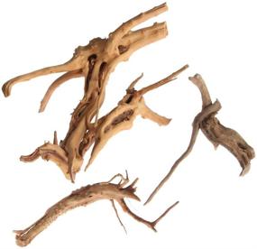 img 2 attached to 🐠 Natural Fish Tank Decoration: Kathson Aquarium Driftwood Assorted Branches Ornament for Fish, Shrimp, and Aquatic Playful Animals