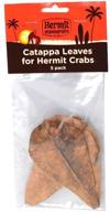 🦀 hermit crab catappa leaves: optimal choice for crab enclosures логотип