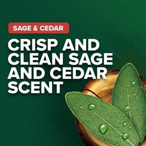 img 1 attached to Irish Spring Men's Sage and Cedar Body Wash Shower Gel - 18 fl oz (6 Pack)
