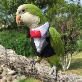 img 1 attached to 🐦 Pet Bird Flight Suit for Parrots, African Greys, Parakeets, Cockatiels, Sun Conures - Cute School Uniform Tuxedo Business Suit for Christmas Party, Birthday, Pet Shows, Cosplay, and Photo Props