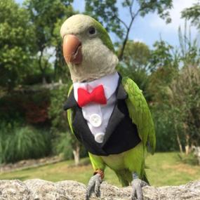 img 2 attached to 🐦 Pet Bird Flight Suit for Parrots, African Greys, Parakeets, Cockatiels, Sun Conures - Cute School Uniform Tuxedo Business Suit for Christmas Party, Birthday, Pet Shows, Cosplay, and Photo Props