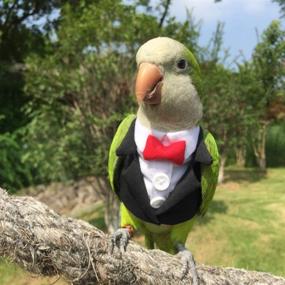 img 3 attached to 🐦 Pet Bird Flight Suit for Parrots, African Greys, Parakeets, Cockatiels, Sun Conures - Cute School Uniform Tuxedo Business Suit for Christmas Party, Birthday, Pet Shows, Cosplay, and Photo Props