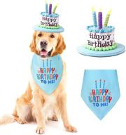 день рождения ushang pet headband decorations логотип