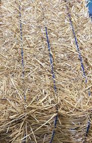 img 2 attached to 🌾 AA Plus Shop: Organic 100% Natural Wheat Straw Grass – Authentic Natural Wheat Hay (8LB)