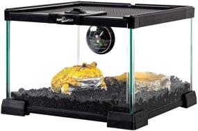 img 3 attached to 🦎 REPTI ZOO Compact Reptile Glass Terrarium Enclosure with Full View, Visually Attractive Reptile Glass Habitat Tank 8"x8"x6