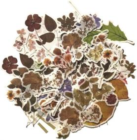 img 4 attached to 🍂 Vintage Forest Falling Flower Leaf Washi Sticker Pack: Artsy Multi-Color Floral Decals for Retro Natural Autumn Vibes – 120 Pieces