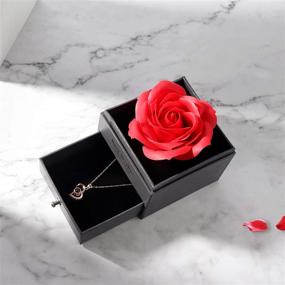 img 2 attached to 🌹 Romantic Gifts for Her: Birthday Surprises for Girlfriend, I Love You Gifts - Preserved Rose & S925 Silver Necklace with "I Love You" in 100 Languages